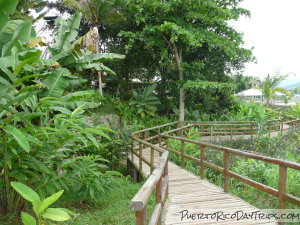 Caguas Botanical Garden