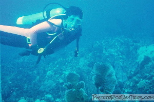 Diving at Desecheo Island