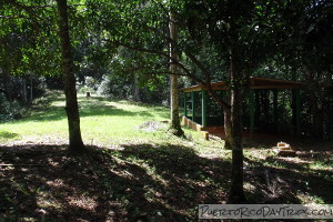 Camping Area in Guajataca Forest
