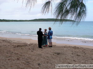 Wedding on Seven Seas Beach in Fajardo