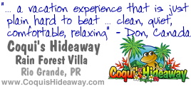 Stay at Coqui's Hideaway in the Rain Forest!