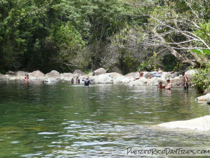 Damas Pool in Mameyes River