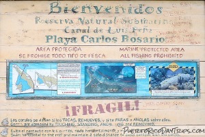 Playa Carlos Rosario