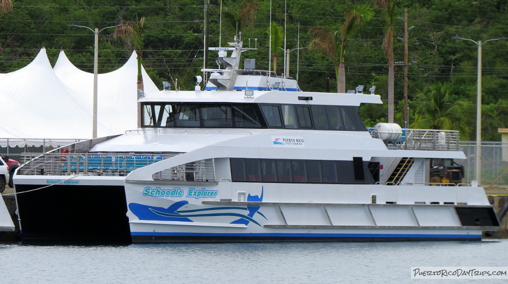 Catch the Ferry from Ceiba to Culebra or Vieques Puerto Rico Day