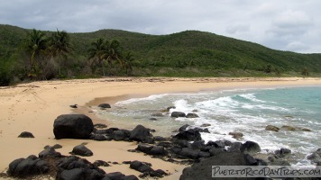 Playa Brava, Culebra