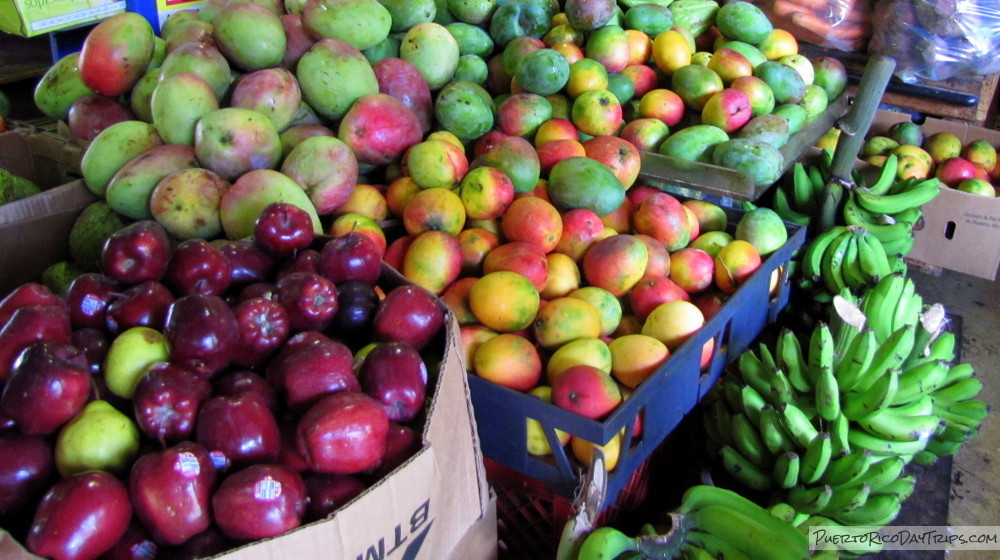 Farmers Market