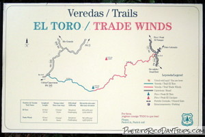 Trade Winds Trail Head