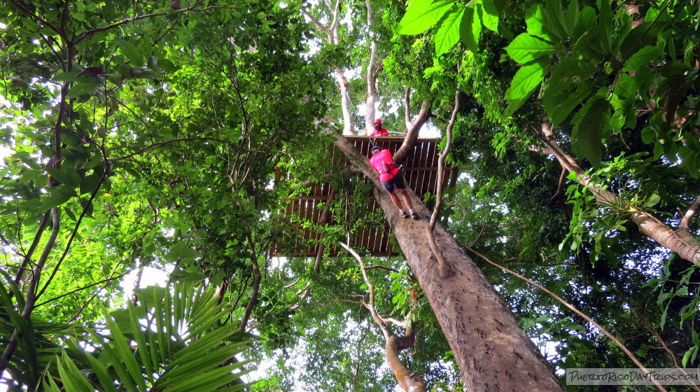 Yunke Zipline Adventure