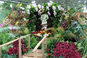 Aibonito Flower Festival