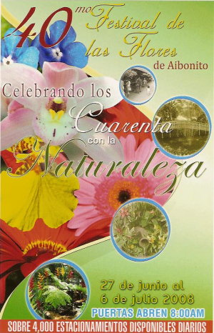 Festival Poster