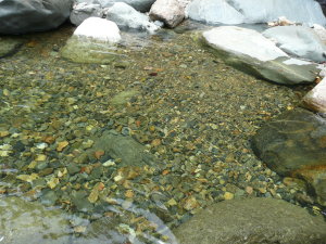 Crystal clear Mameyes River