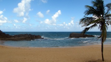 Arecibo Beaches
