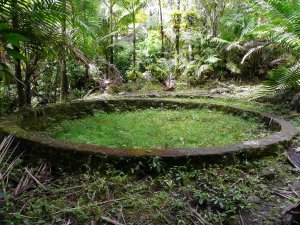 Old fish hatchery along Bano de Oro trail