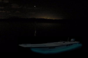 Bio Island Electric Biobay Boat in Fajardo