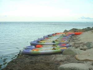 Kayak en la laguna y r�o Mosquito india