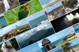 Puerto Rico Budget Vacation