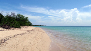 Combate Beach