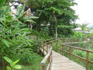 Caguas Botanical Garden