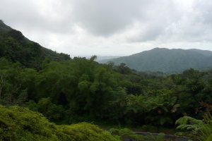 View from Caimitillo Trail