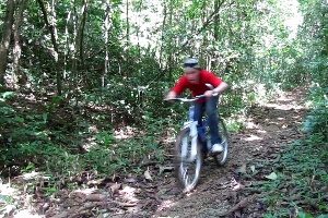Cambalache Forest