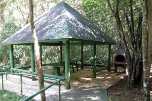 Cambalache Forest