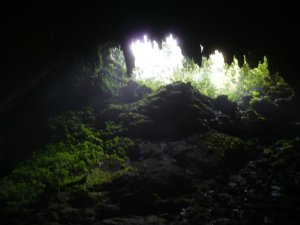 Entrance to Camuy Cave