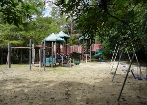 Playgound at the Rio Camuy Cave Park