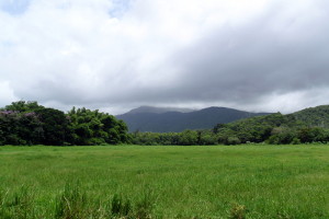 Horseback Riding at Carabali Rainforest Park