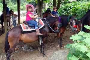 Horseback Riding at Carabali Rainforest Park