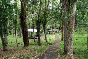 Picnic Area in Carite Forest