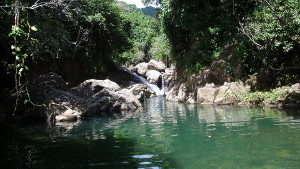 Survivor Falls in Carite Forest