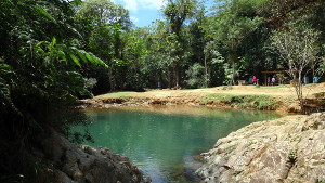 Charco Azul in Carite Forest