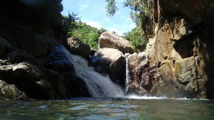 Survivor Falls in Carite Forest Survivor Falls in Carite Forest
