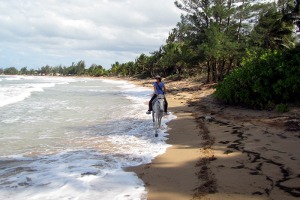 Catch A Dream Beach Horseback Ride