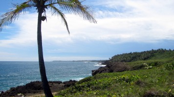 Cerro Gordo Beach
