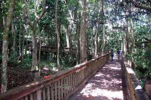 Cibuco Historical Center