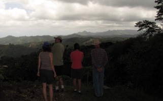 Puerto Rican Coffee Tours