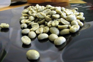 Puerto Rican Coffee Tours