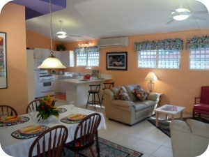 Coqui's Hideaway Living Room