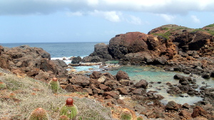 Culebra with East Island Excursions