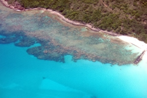 Shark Cages, Flamenco Beach, Culebra