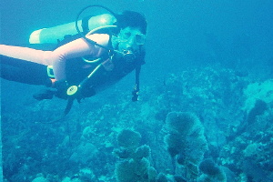Diving at Desecheo Island