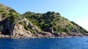 Diving at Desecheo Island