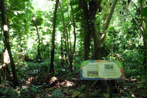 El Portal Visitor Center in El Yunque