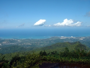 View from the peak of El Yunque