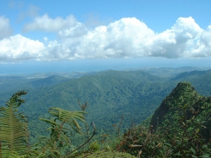 View from El Yunque