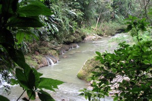 Tanama River Body Rafting Tanama River Body Rafting