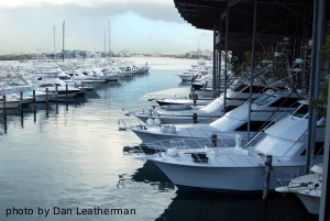 Marina
