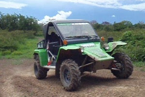 Green Zebra at Hacienda Campo Rico