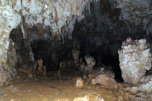 Cueva del Viento in Guajataca Forest